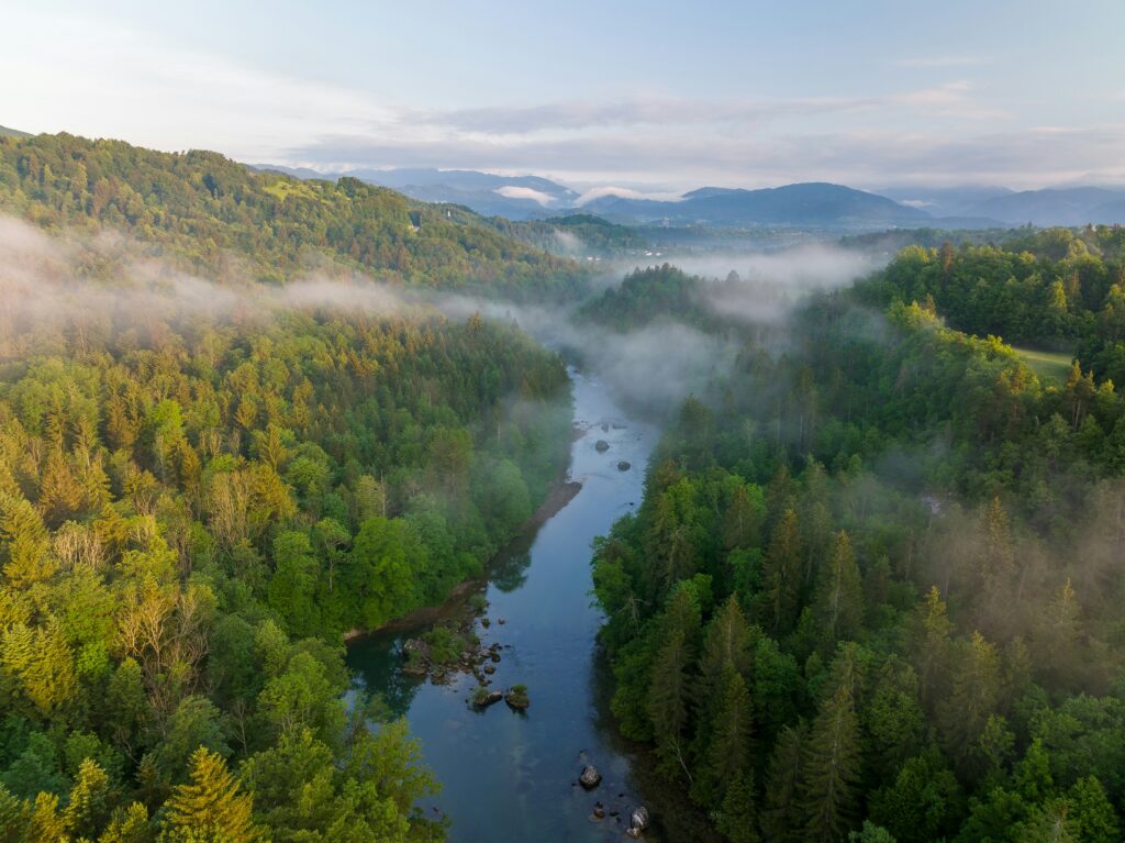 corporate nutrition webinars Raleigh Durham